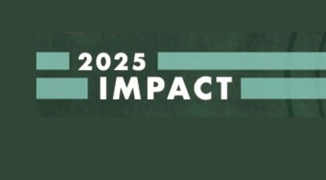 2025 Impact Infographic