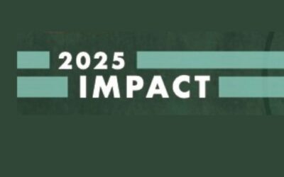 2025 Impact Infographic